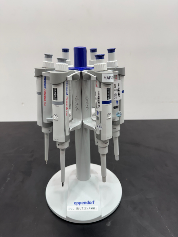 Image of Eppendorf Single Chanel Pippets; Quantity: 6